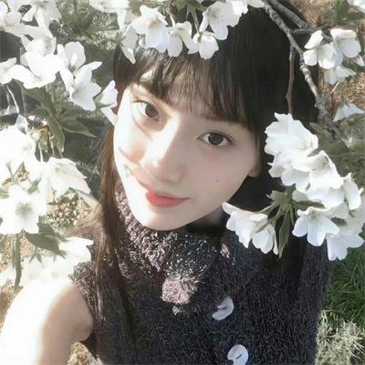 口碑推荐